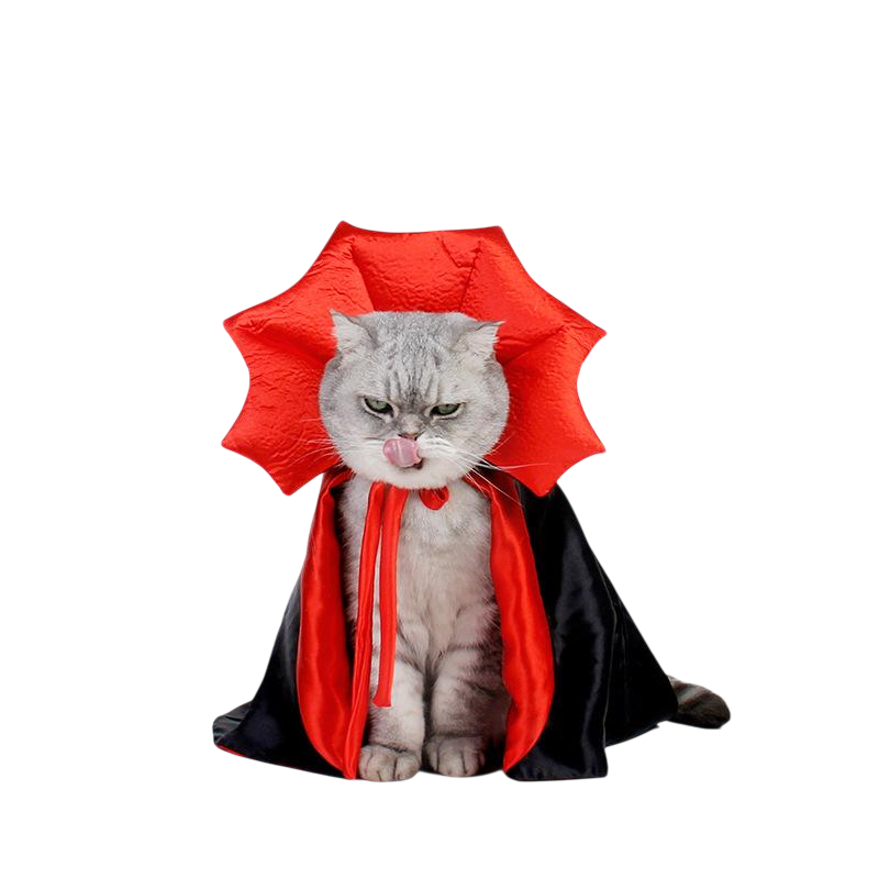 Одяг і аксесуари