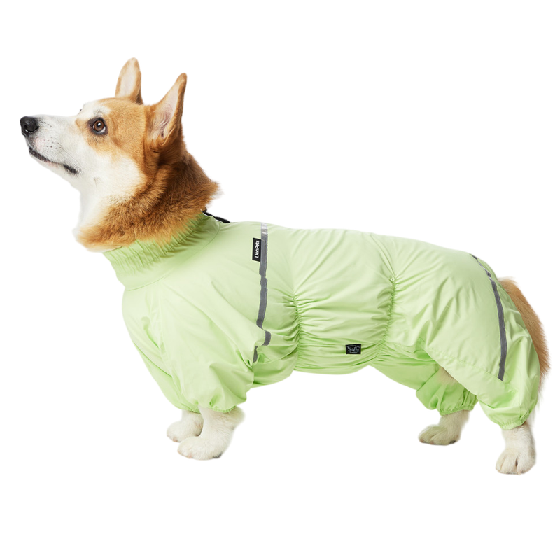 Одяг і аксесуари