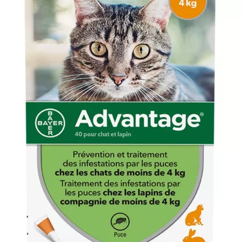 Bayer Advantage для котів до 4 кг